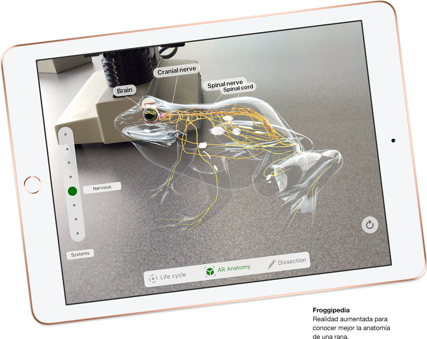 iPad 6ta Generación