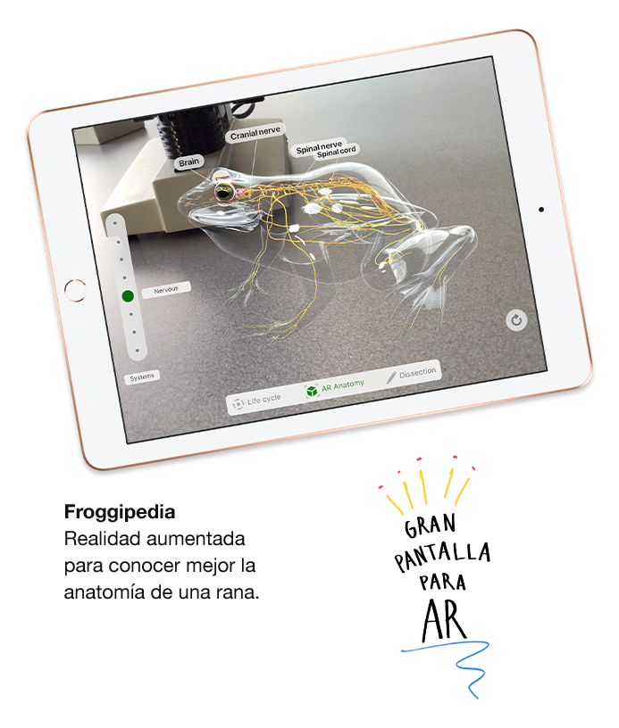 iPad 6ta Generación