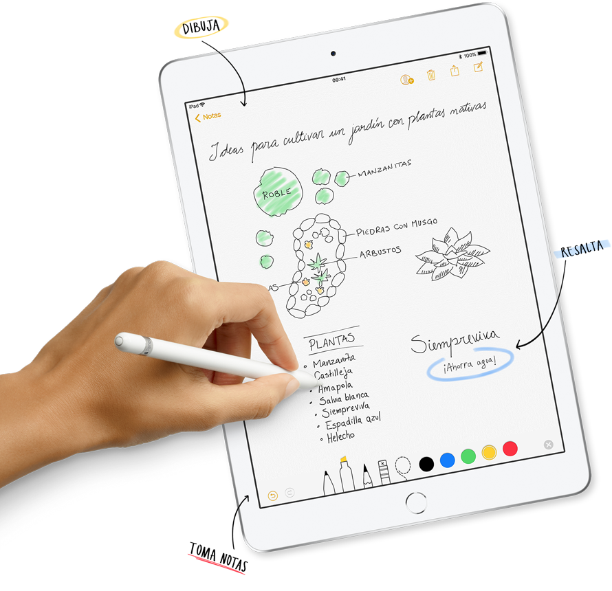 iPad 6ta Generación