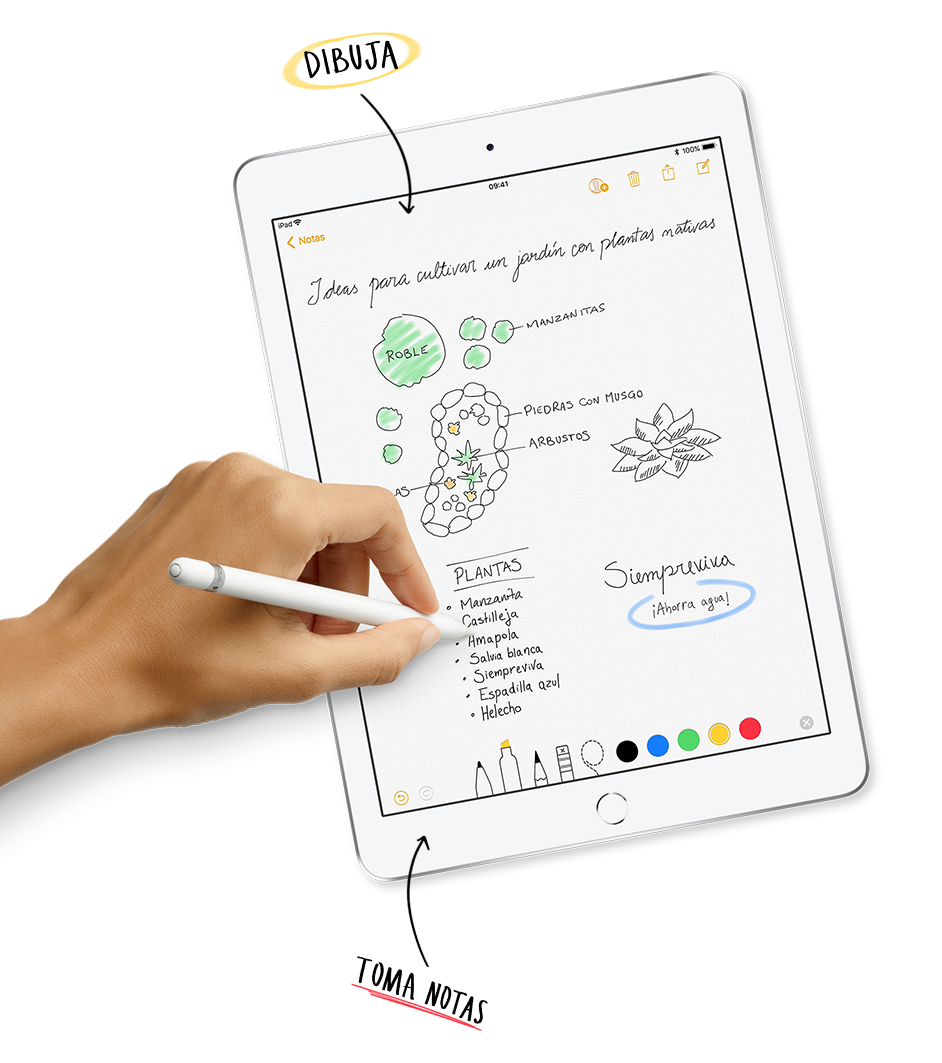 iPad 6ta Generación