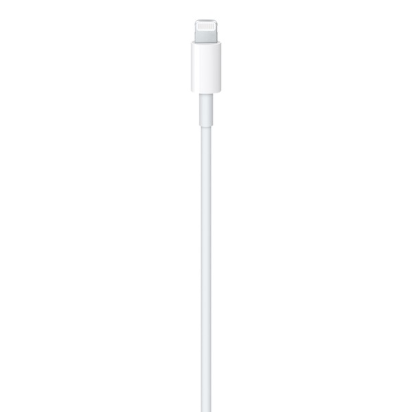 Apple lightning usb c 2