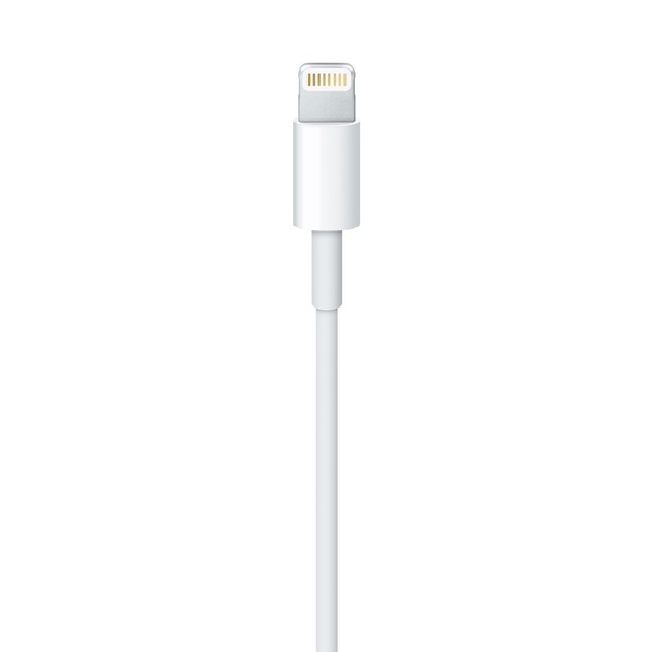 Apple lightning usb a 2
