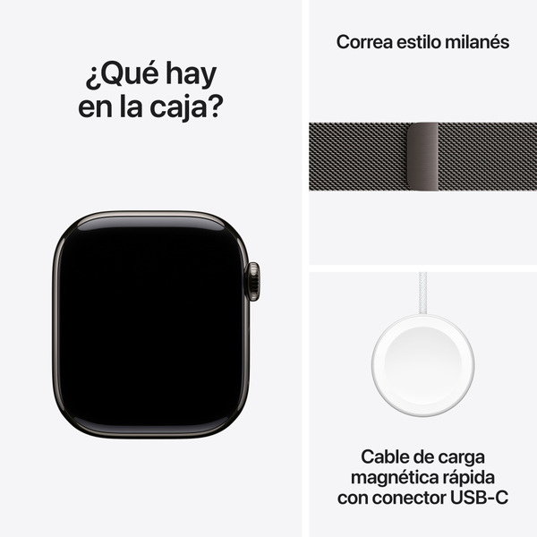 Apple watch series 10 42mm lte slate titanium milanese loop slate 9