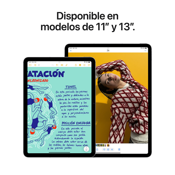 Apple ipad air 11 inch m3 cellular space gray 4