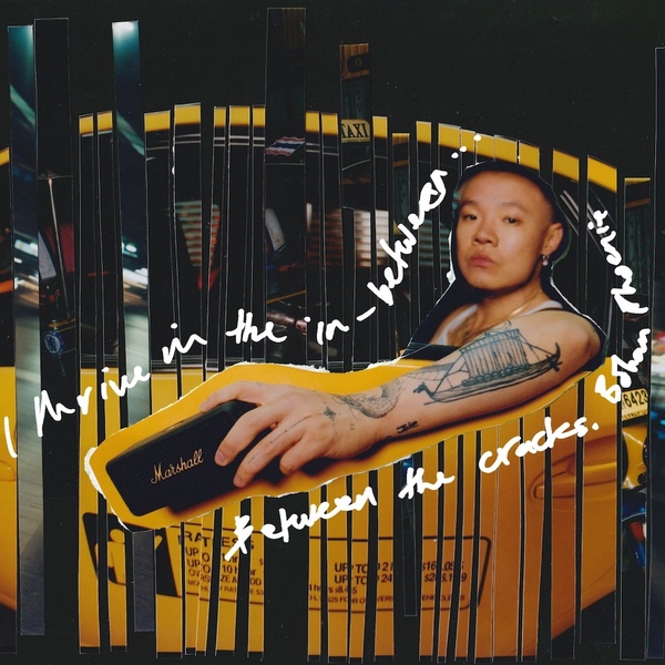 Marshall 1006884 ls2