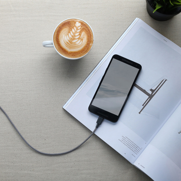 Nativeunion belt ac zeb np 2