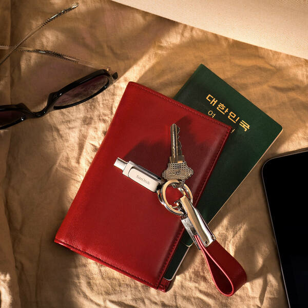 Sandisk sdddc4 silver ls3