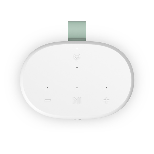 Sonos playpus1 14